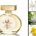 عطر ادکلن هر گلدن سکرت آنتونیو باندراس - Her Golden Secret Antonio Banderas - بررسی، قیمت و خرید