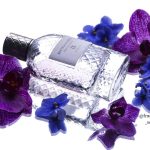 عطر ادکلن پارکو پالادیانو آی‌ایکس: ویولتا بوتگا ونتا - Parco Palladiano IX: Violetta Bottega Veneta - بررسی، قیمت و خرید