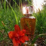 عطر ادکلن ‌وانس آپان اِ تایم فایربلوم بروکارد - Once Upon A Time Firebloom Brocard - بررسی، قیمت و خرید