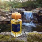 عطر ادکلن فرنچ بوکت بی دی کی پارفومز - French Bouquet BDK Parfums - بررسی، قیمت و خرید