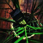 عطر ادکلن بلک کلاموس کارنر بارسلونا - Black Calamus Carner Barcelona - بررسی، قیمت و خرید