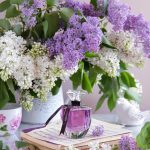 عطر ادکلن سوِتسکایا لوویتسا بروکارد - Svetskaya Lvitsa Brocard - بررسی، قیمت و خرید
