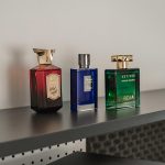 عطر ادکلن وایلد نایت الندور پرفیومز - Wild Night Alendor Perfumes - بررسی، قیمت و خرید