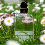 عطر ادکلن ایمیج سرروتی - Image Cerruti - بررسی، قیمت و خرید