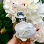 عطر ادکلن آگوا فرسکا د روزاس بلانکاس آدولفو دومینگز - Agua Fresca de Rosas Blancas Adolfo Dominguez - بررسی، قیمت و خرید