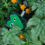 عطر ادکلن گرین کومه د غارسون - Green Comme des Garcons - بررسی، قیمت و خرید