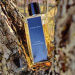 عطر ادکلن پاریس الکساندری کارون - Paris Alexandrie Carven - بررسی، قیمت و خرید