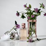 عطر ادکلن الور او دو پرفیوم شانل - Allure Eau de Parfum Chanel - بررسی، قیمت و خرید