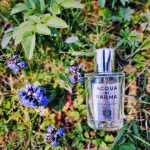 عطر ادکلن آکوا دی پارما کولونیا اسولوتا آکوا دی پارما - Acqua di Parma Colonia Assoluta Acqua di Parma - بررسی، قیمت و خرید