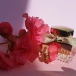 عطر ادکلن کلویی ابسولو دو پرفیوم کلوئی - Chloé Absolu de Parfum Chloé - بررسی، قیمت و خرید