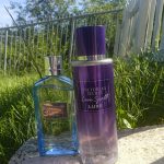 عطر ادکلن فرست اینستینکت بلو فور هر ابرکرومبی اند فچ - First Instinct Blue For Her Abercrombie & Fitch - بررسی، قیمت و خرید
