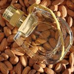 عطر ادکلن نوماد ناتورل او دو پارفوم کلوئه - Nomade Naturelle Eau de Parfum Chloé - بررسی، قیمت و خرید