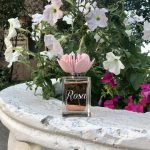 عطر ادکلن بلومارین رزا بلومارین - Blumarine Rosa Blumarine - بررسی، قیمت و خرید