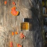 عطر ادکلن ایل دیچی ایکس بوگ - Il Dieci X Bogue - بررسی، قیمت و خرید