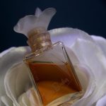 عطر ادکلن بتی بارکلی بتی بارکلی - Betty Barclay Betty Barclay - بررسی، قیمت و خرید