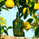 عطر ادکلن سی کی وان سامر ۲۰۱۴ کلوین کلاین - CK One Summer 2014 Calvin Klein - بررسی، قیمت و خرید