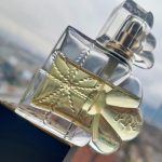 عطر ادکلن چیپی چیپی - Chipie Chipie - بررسی، قیمت و خرید