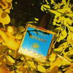 عطر ادکلن میاکو اوفوریه - Miyako Auphorie - بررسی، قیمت و خرید