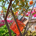 عطر ادکلن کْلینیک هپی کلینیک - Clinique Happy Clinique - بررسی، قیمت و خرید