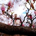 عطر ادکلن بربری هر بربری - Burberry Her Burberry - بررسی، قیمت و خرید
