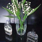 عطر ادکلن سی کی اوری وان ادو تویلت کالوین کلاین - CK Everyone Eau de Toilette Calvin Klein - بررسی، قیمت و خرید