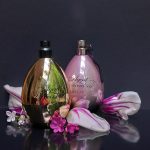 عطر ادکلن میس اِی‌پی ایجنت پرووُکاتور - Miss AP Agent Provocateur - بررسی، قیمت و خرید