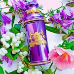 عطر ادکلن آیریس وایولت الکساندر جِی - Iris Violet Alexandre.J - بررسی، قیمت و خرید