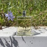 عطر ادکلن کاستوم نشنال اوم کوستوم نشنال - Costume National Homme CoSTUME NATIONAL - بررسی، قیمت و خرید