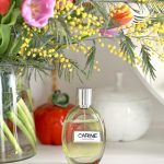 عطر ادکلن کارین کارین رویتفلد - Carine Carine Roitfeld - بررسی، قیمت و خرید
