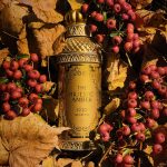 عطر ادکلن ذ مجستیک امبر الکساندر جی - The Majestic Amber Alexandre.J - بررسی، قیمت و خرید
