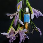 عطر ادکلن آیریس دی کاپری بولیس - Iris di Capri Boellis - بررسی، قیمت و خرید