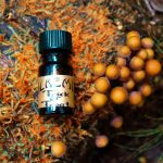 عطر ادکلن تریک اور تریت آلکیمیا پرفیومز - Trick or Treat Alkemia Perfumes - بررسی، قیمت و خرید