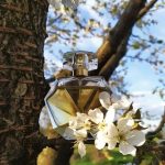 عطر ادکلن ایو کانفیدنس ایون - Eve Confidence Avon - بررسی، قیمت و خرید