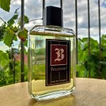 عطر ادکلن برومل آنتونیو پوگ - Brummel Antonio Puig - بررسی، قیمت و خرید