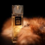 عطر ادکلن ماسک آلیسا اشلی - Musk Alyssa Ashley - بررسی، قیمت و خرید