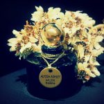 عطر ادکلن ماسک اکستریم آلیسا اشلی - Musk Extreme Alyssa Ashley - بررسی، قیمت و خرید