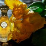 عطر ادکلن لیدی کارون کارون - Lady Caron Caron - بررسی، قیمت و خرید