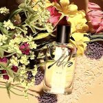 عطر ادکلن رایز آکرو - Rise Akro - بررسی، قیمت و خرید