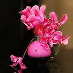عطر ادکلن راکر فم فنتسی بریتنی اسپیرز - Rocker Femme Fantasy Britney Spears - بررسی، قیمت و خرید