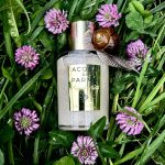 عطر ادکلن آکوا دی پارما مگنولیا نوبیله آکوا دی پارما - Acqua di Parma Magnolia Nobile Acqua di Parma - بررسی، قیمت و خرید