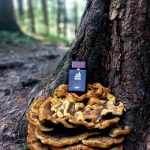 عطر ادکلن لدر عود عطر الحرمین - Leather Oudh Al Haramain Perfumes - بررسی، قیمت و خرید