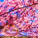 عطر ادکلن اندلس افوریا کلوین کلاین - Endless Euphoria Calvin Klein - بررسی، قیمت و خرید