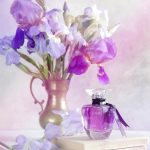 عطر ادکلن سوِتسکایا لوویتسا بروکارد - Svetskaya Lvitsa Brocard - بررسی، قیمت و خرید