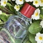 عطر ادکلن نور اِسپرینگ بژرک اند بریز - Never Spring Bjork and Berries - بررسی، قیمت و خرید