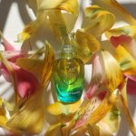 عطر ادکلن سلافت کریستین لاکروآ - C'est La Fete Christian Lacroix - بررسی، قیمت و خرید