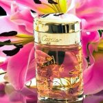 عطر ادکلن بیزر وله او دو پرفیوم کلکتور ادیشن کارتیر - Baiser Vole Eau de Parfum Collector Edition Cartier - بررسی، قیمت و خرید
