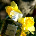 عطر ادکلن شانل نامبر نوزده پودره شانل - Chanel No 19 Poudre Chanel - بررسی، قیمت و خرید
