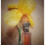 عطر ادکلن ایتِرنیتی فِلِیم فور وومِن کلوین کلاین - Eternity Flame For Women Calvin Klein - بررسی، قیمت و خرید
