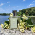عطر ادکلن تیلیا کورداتا آکا کاپا - Tilia Cordata Acca Kappa - بررسی، قیمت و خرید