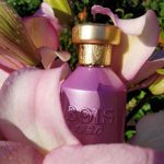 عطر ادکلن لا وانیلیا بویس ۱۹۲۰ - La Vaniglia Bois 1920 - بررسی، قیمت و خرید